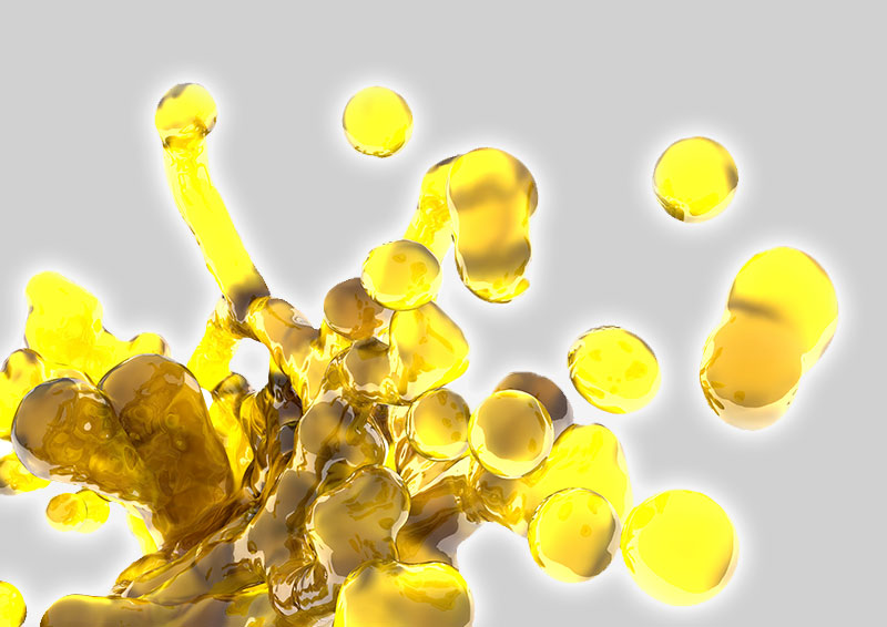 Vegetable oil and fats extraction Vegetable oil and fats extraction